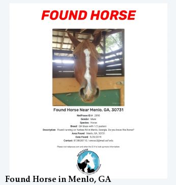 Found Horse in Menlo, GA